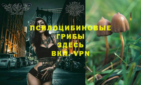 прущая мука Волоколамск