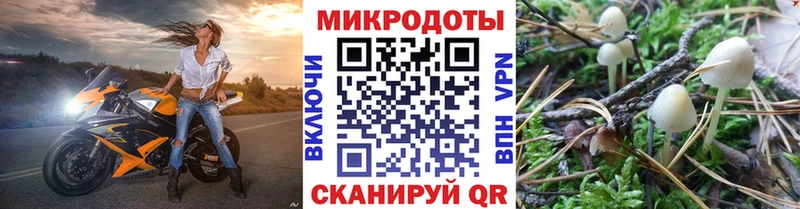 Галлюциногенные грибы GOLDEN TEACHER  Бийск 
